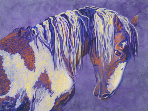 Picasso Wild Stallion- signed limited edition print by Cynthia Sampson- 10% from each sale donated to AWHC