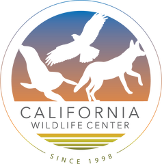 California Wildlife Center
