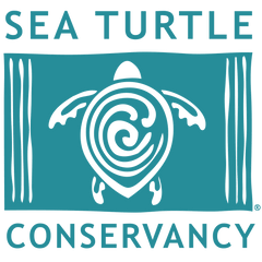 Sea Turtle Conservancy