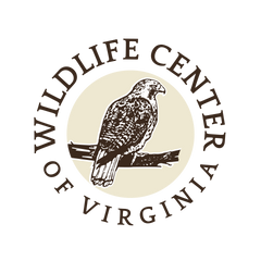 Wildlife Center of Virginia