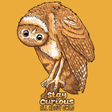 All About Owls - 2026