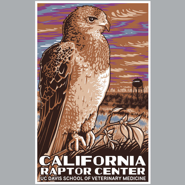 California Raptor Center - Adult - Heather Gray