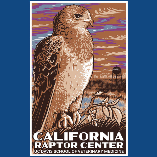 California Raptor Center - Adult Long Sleeve - Cool Blue