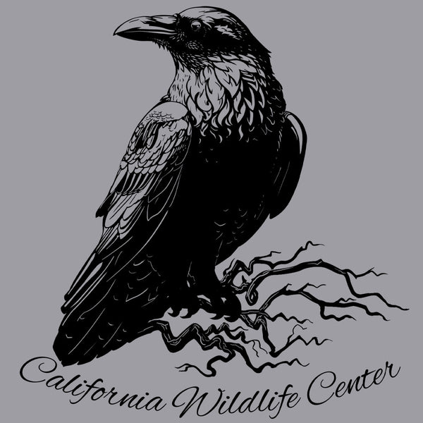 California Wildlife Center - Ladies V-Neck - Heather Gray