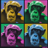 Noelle - Ladies V-Neck - Black