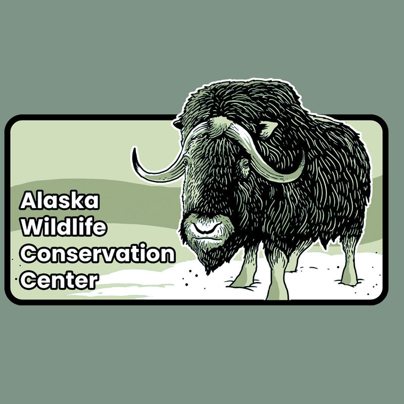 Alaska Wildlife Conservation Center - Ladies V-Neck - Mint
