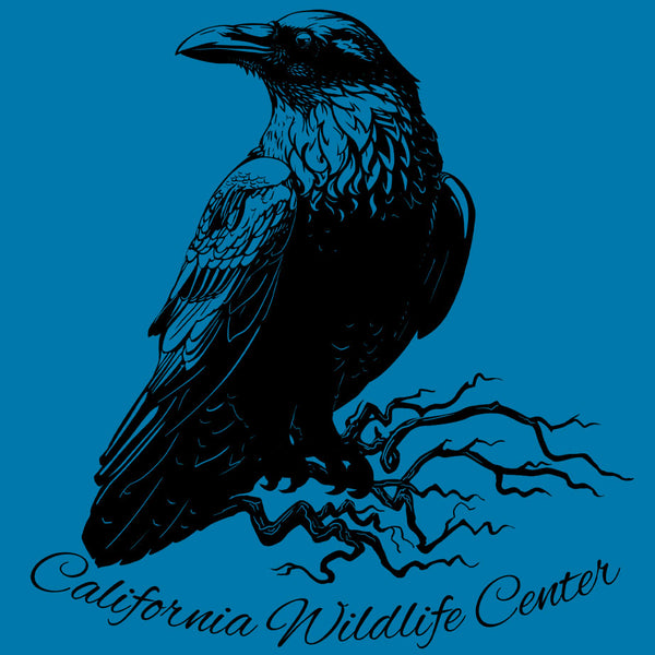 California Wildlife Center - Ladies V-Neck - Turquoise