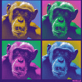 Noelle - Ladies V-Neck - Purple Rush