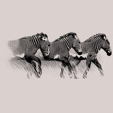 Grevy's Zebra Trust - Adult Long Sleeve - Natural
