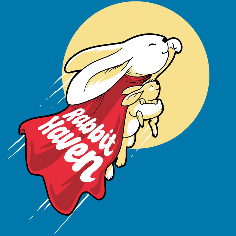 Rabbit Haven - Ladies V-Neck - Turquoise