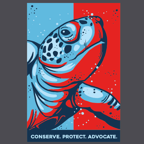 Sea Turtle Conservancy  - 2024