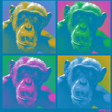 Noelle - Ladies V-Neck - Turquoise