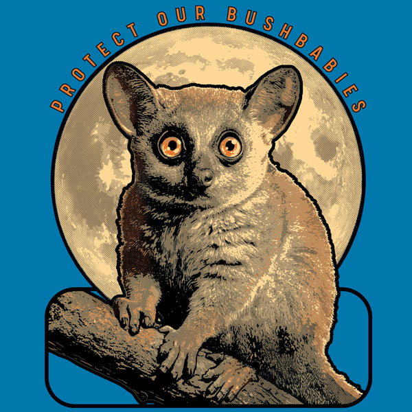 Protect Our Bushbabies - Ladies V-Neck - Turquoise