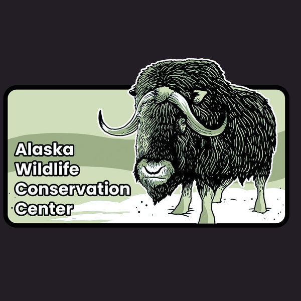Alaska Wildlife Conservation Center - Ladies Triblend Dolman - Vintage Black