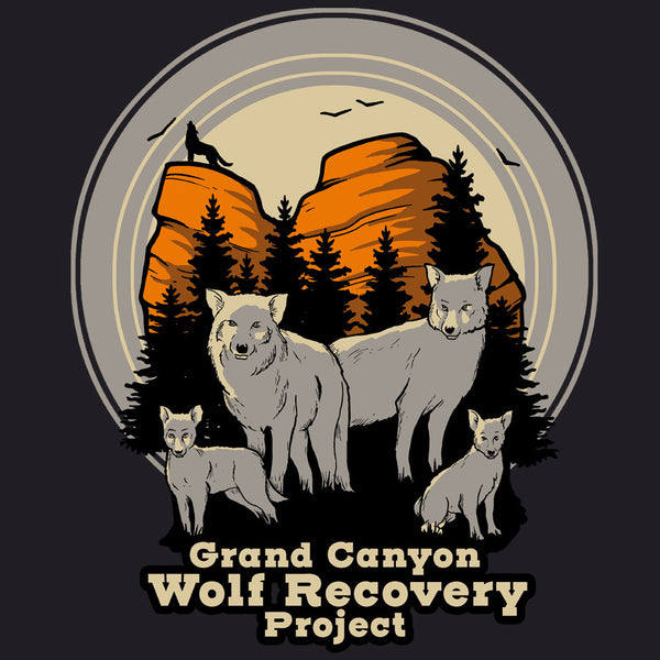 Grand Canyon Wolf Recovery Project - Ladies Triblend Dolman - Vintage Black