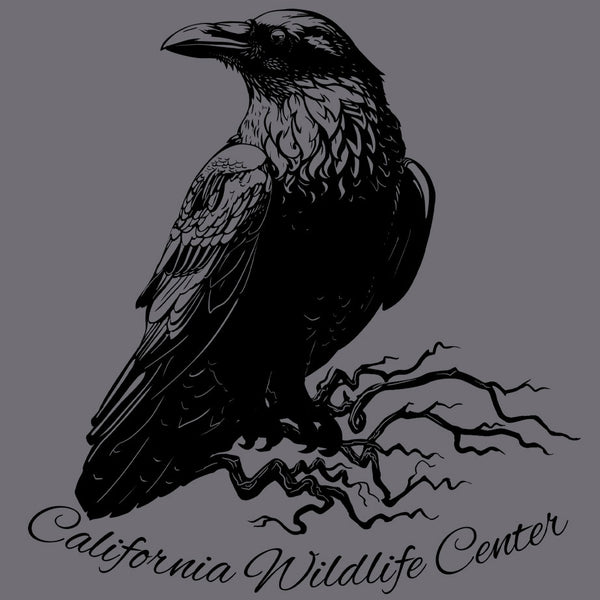 California Wildlife Center - Ladies Triblend Dolman - Graphite Heather