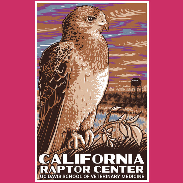 California Raptor Center - Ladies V-Neck - Raspberry