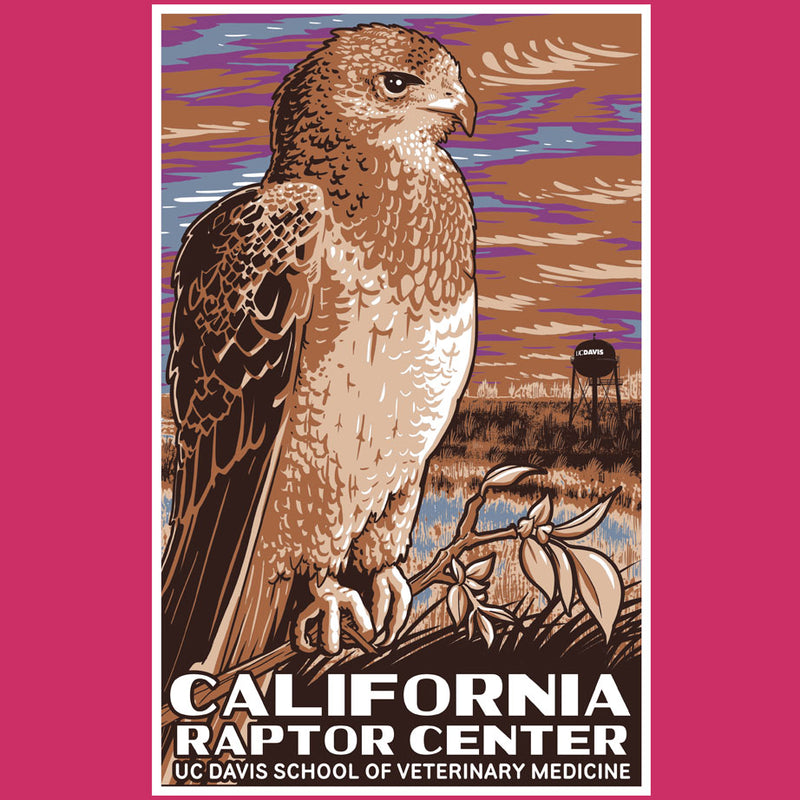 California Raptor Center - Ladies V-Neck - Raspberry
