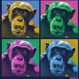 Noelle - Ladies Triblend Dolman - Vintage Navy