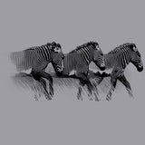 Grevy's Zebra Trust - Ladies Triblend Dolman - Graphite Heather