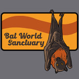 Bat World Sanctuary - Ladies Triblend Dolman - Graphite Heather
