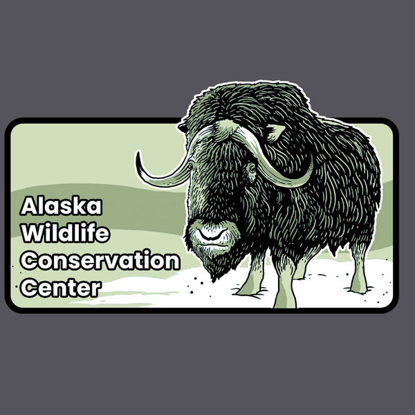 Alaska Wildlife Conservation Center - Ladies Triblend Dolman - Premium Heather