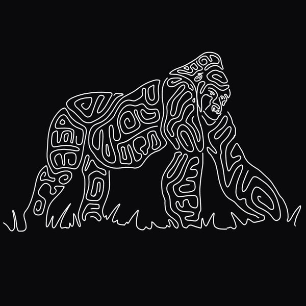 Gorilla Doctors - 2025