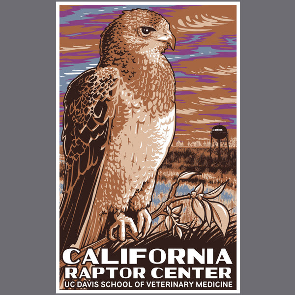 California Raptor Center - Ladies Triblend Dolman - Graphite Heather