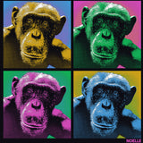 Noelle - Ladies Triblend Dolman - Vintage Black