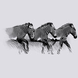 Grevy's Zebra Trust - Ladies Triblend Dolman - Heather White