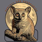 Protect Our Bushbabies - Ladies Triblend Dolman - Graphite Heather