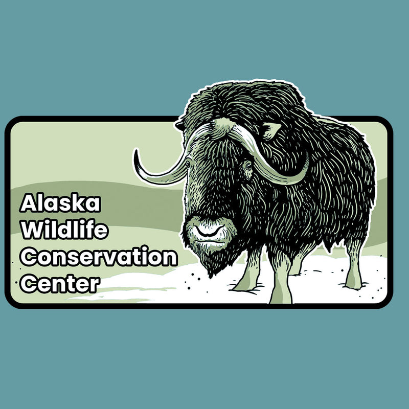Alaska Wildlife Conservation Center - Ladies Racerback Tank - Cancun