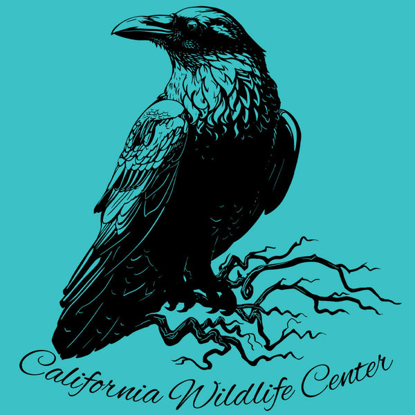 California Wildlife Center - Ladies Racerback Tank - Tahiti Blue