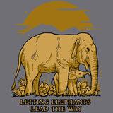 Following Giants - Ladies Triblend Dolman - Premium Heather