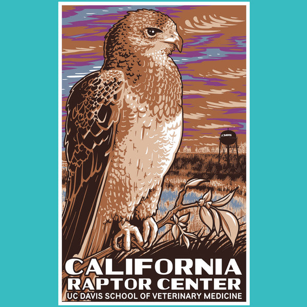 California Raptor Center - Ladies Racerback Tank - Tahiti Blue