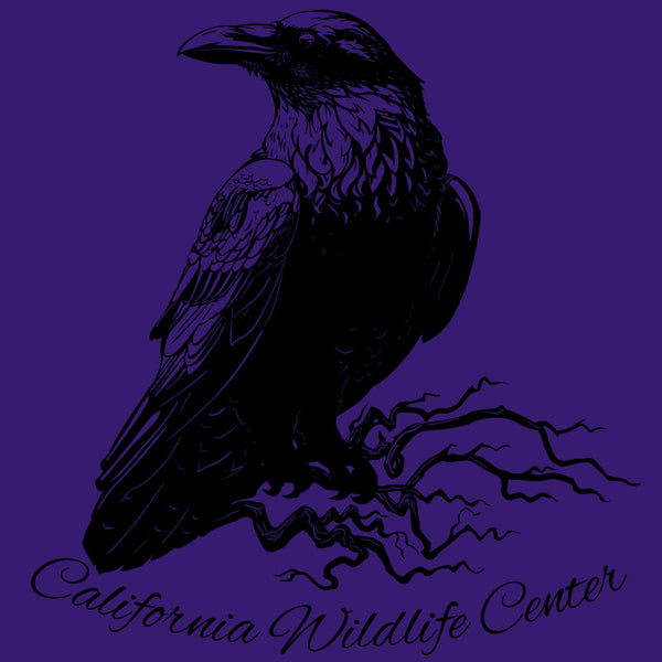 California Wildlife Center - Ladies Racerback Tank - Purple Rush