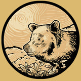 Endangered Species Coalition - CLEARANCE 2024