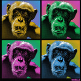 Noelle - Midweight French Terry Pullover Hoody - Black