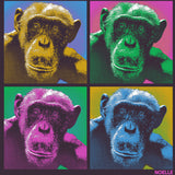 Noelle - EcoBlend Hooded Tee - Eggplant