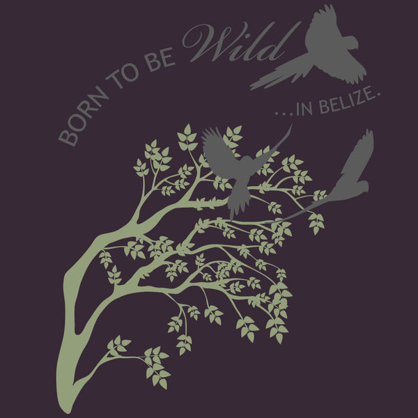 Belize Bird Rescue - EcoBlend Hooded Tee - Eggplant