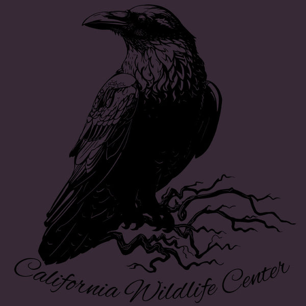 California Wildlife Center - EcoBlend Hooded Tee - Eggplant