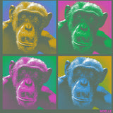 Noelle - EcoBlend Hooded Tee - Asparagus