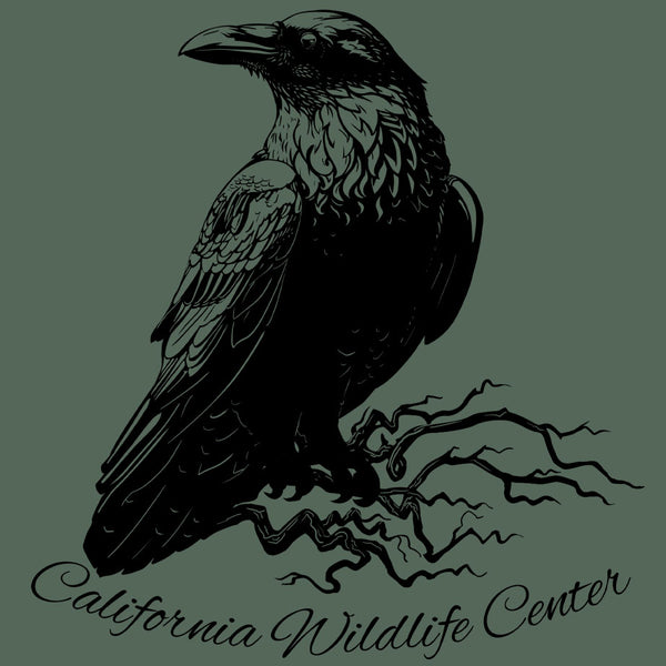 California Wildlife Center - EcoBlend Hooded Tee - Asparagus
