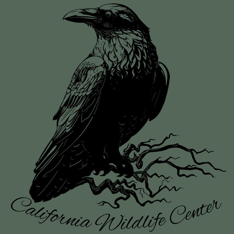 California Wildlife Center - EcoBlend Hooded Tee - Asparagus