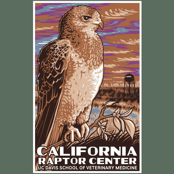 California Raptor Center - EcoBlend Hooded Tee - Asparagus