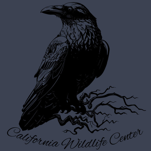 California Wildlife Center - EcoBlend Hooded Tee - Water