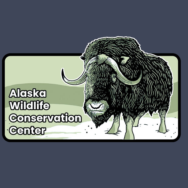 Alaska Wildlife Conservation Center - EcoBlend Hooded Tee - Water
