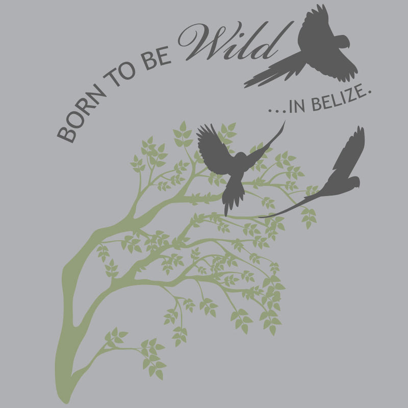 Belize Bird Rescue - Midweight French Terry Pullover Hoody - Heather Gray