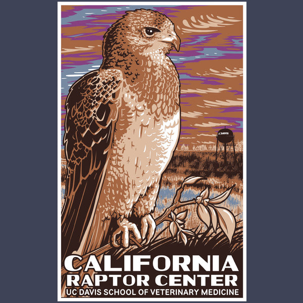 California Raptor Center - EcoBlend Hooded Tee - Water
