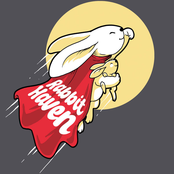 Rabbit Haven - Midweight French Terry Pullover Hoody - Heavy Metal